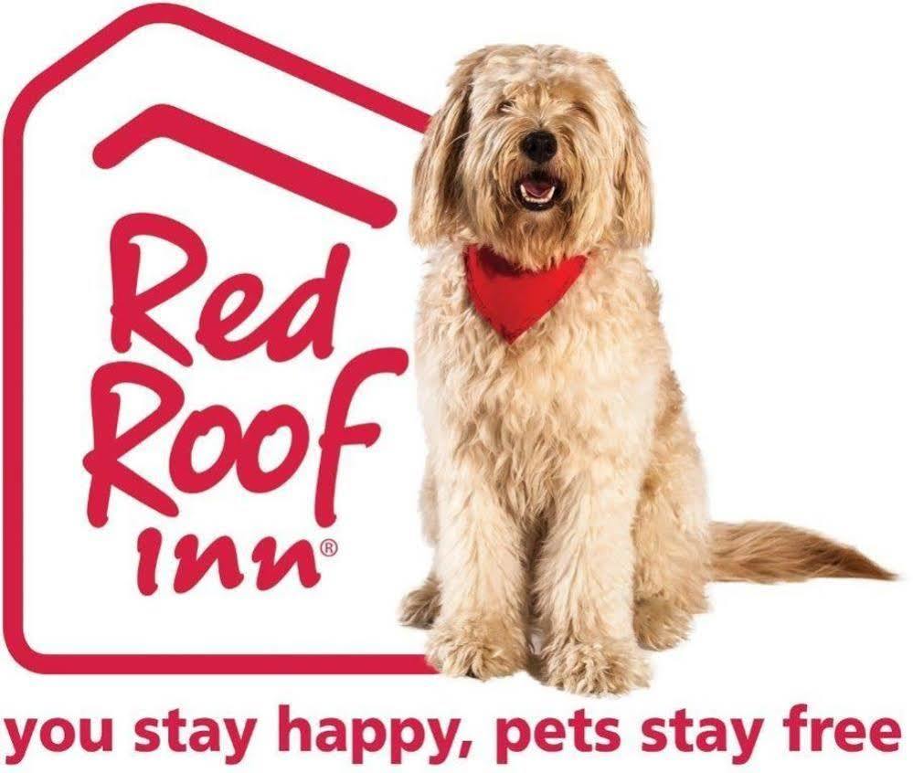 Red Roof Inn Santa Ana Buitenkant foto